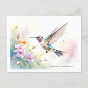 Hummingvogel Briefkaart