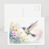 Hummingvogel Briefkaart (Voorkant / Achterkant)