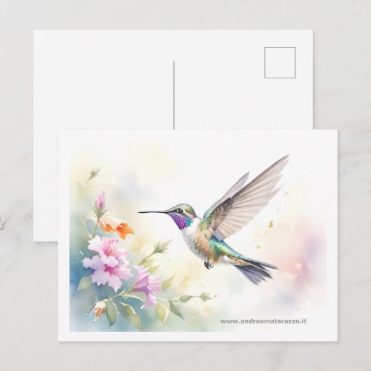 Hummingvogel Briefkaart (Voorkant / Achterkant)