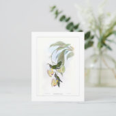 Hummingvogel Briefkaart (Staand voorkant)