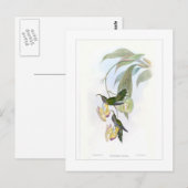 Hummingvogel Briefkaart (Voorkant / Achterkant)