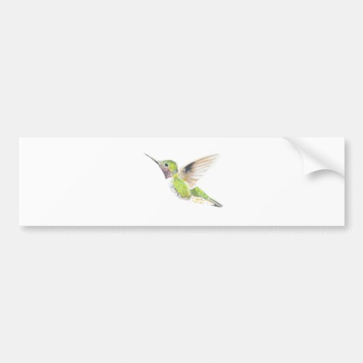 Hummingvogel Bumpersticker (Voorkant)