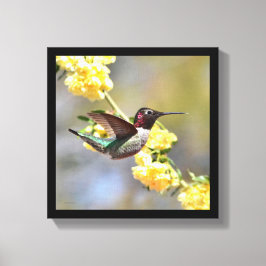 Hummingvogel Canvas Afdruk