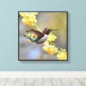 Hummingvogel Canvas Afdruk (Insitu (Houten vloer))