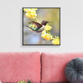 Hummingvogel Canvas Afdruk (Insitu (Woonkamer))