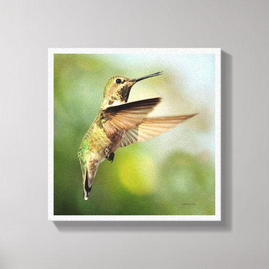 Hummingvogel Canvas Afdruk (Voorkant)