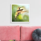Hummingvogel Canvas Afdruk (Insitu (Woonkamer))