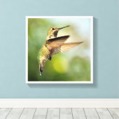 Hummingvogel Canvas Afdruk (Insitu (Houten vloer))