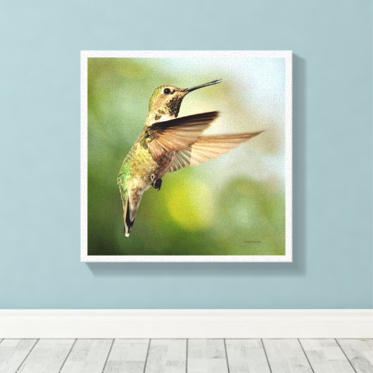 Hummingvogel Canvas Afdruk (Insitu (Houten vloer))