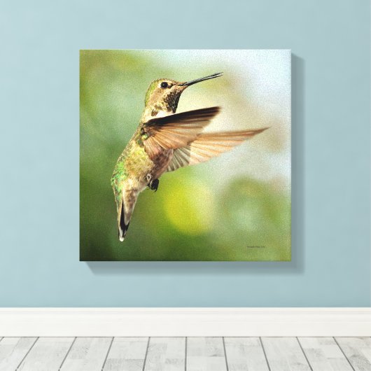 Hummingvogel Canvas Afdruk (Insitu (Houten vloer))