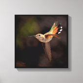 Hummingvogel Canvas Afdruk (Voorkant)