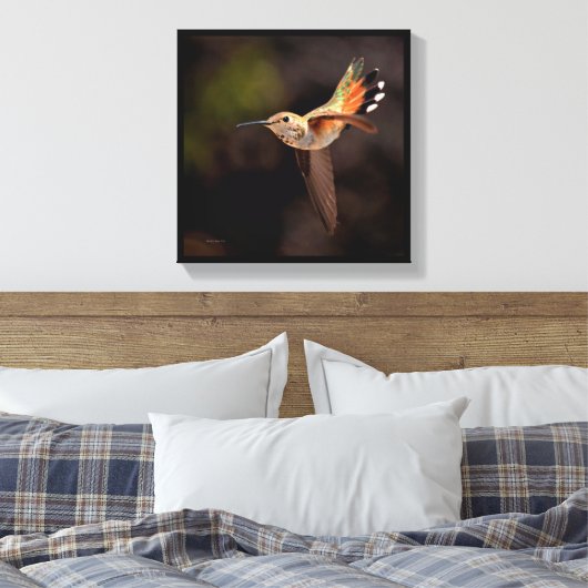 Hummingvogel Canvas Afdruk (Insitu (Slaapkamer))