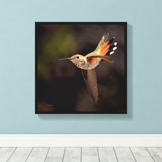 Hummingvogel Canvas Afdruk (Insitu (Houten vloer))