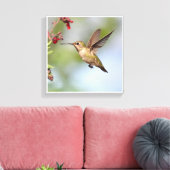 Hummingvogel Canvas Afdruk (Insitu (Woonkamer))