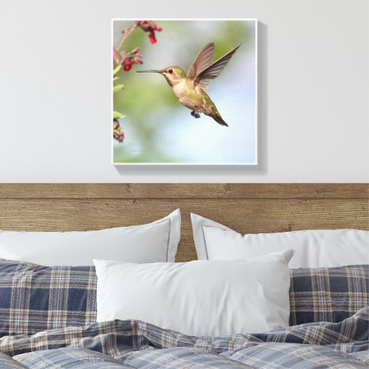 Hummingvogel Canvas Afdruk (Insitu (Slaapkamer))
