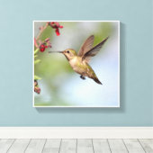 Hummingvogel Canvas Afdruk (Insitu (Houten vloer))