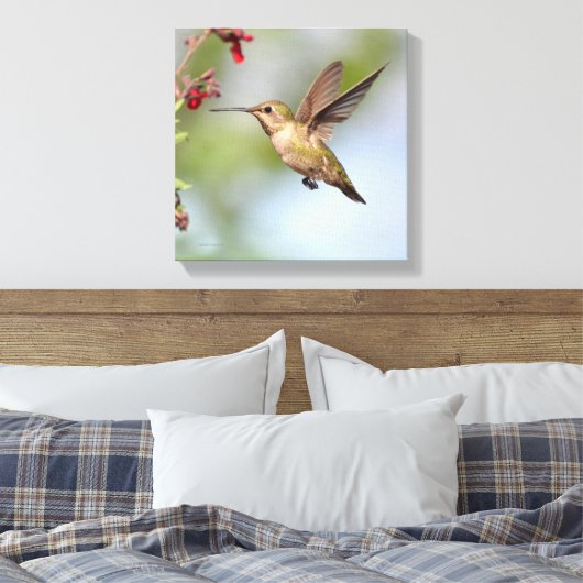 Hummingvogel Canvas Afdruk (Insitu (Slaapkamer))
