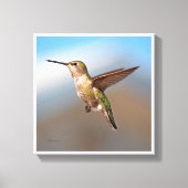 Hummingvogel Canvas Afdruk (Voorkant)