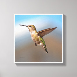 Hummingvogel Canvas Afdruk