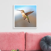 Hummingvogel Canvas Afdruk (Insitu (Woonkamer))