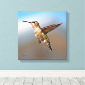Hummingvogel Canvas Afdruk (Insitu (Houten vloer))