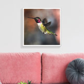 Hummingvogel Canvas Afdruk (Insitu (Woonkamer))