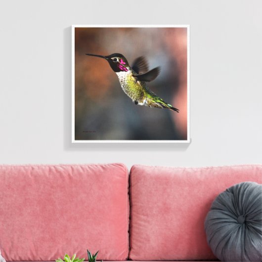 Hummingvogel Canvas Afdruk (Insitu (Woonkamer))