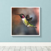 Hummingvogel Canvas Afdruk (Insitu (Houten vloer))