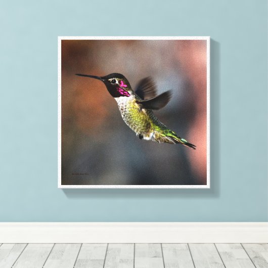 Hummingvogel Canvas Afdruk (Insitu (Houten vloer))