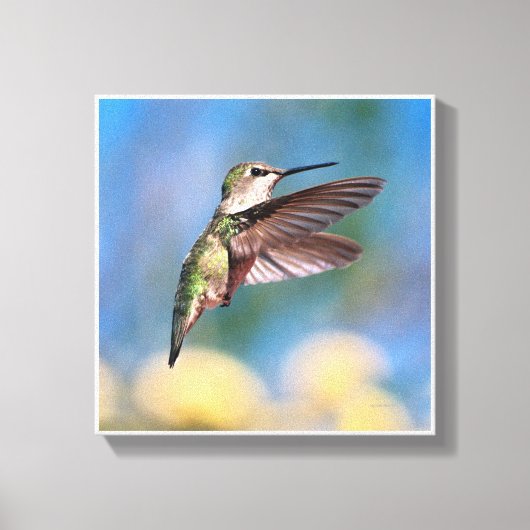 Hummingvogel Canvas Afdruk (Voorkant)