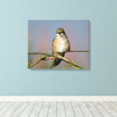 Hummingvogel Canvas Afdruk (Insitu (Houten vloer))