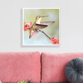 Hummingvogel Canvas Afdruk (Insitu (Woonkamer))