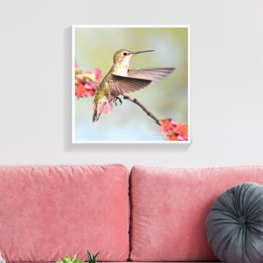 Hummingvogel Canvas Afdruk (Insitu (Woonkamer))
