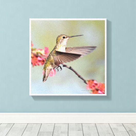 Hummingvogel Canvas Afdruk (Insitu (Houten vloer))