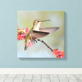 Hummingvogel Canvas Afdruk (Insitu (Houten vloer))