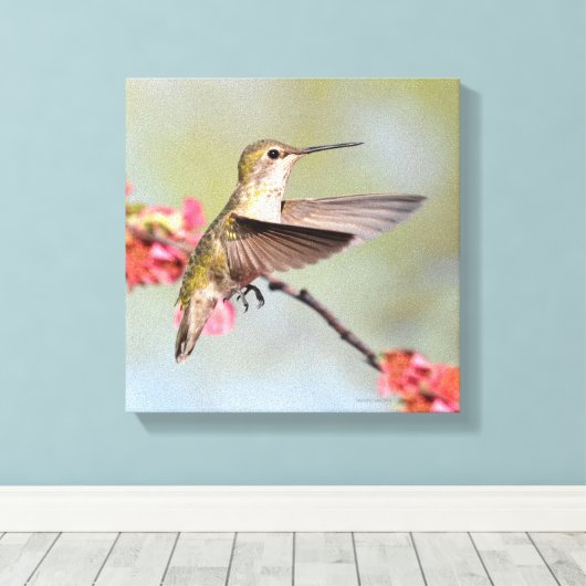 Hummingvogel Canvas Afdruk (Insitu (Houten vloer))