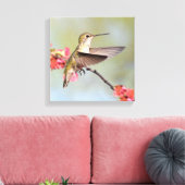 Hummingvogel Canvas Afdruk (Insitu (Woonkamer))