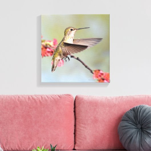 Hummingvogel Canvas Afdruk (Insitu (Woonkamer))