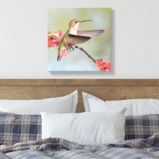 Hummingvogel Canvas Afdruk (Insitu (Slaapkamer))