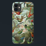 Hummingvogel Case-Mate iPhone Case<br><div class="desc">Hummingbird (Trochilidae) door het Hoesje van Haeckel. Een illustratie van het bord in kleur uit de Kunstformen der Natur van Ernst Haeckel (1899),  met een verscheidenheid aan kolibries.</div>