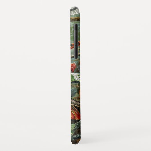 Hummingvogel Case-Mate iPhone Case (Achterkant/links)
