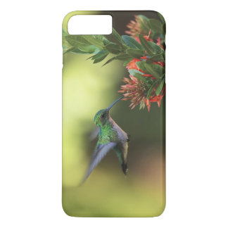 Hummingvogel Case-Mate iPhone Case