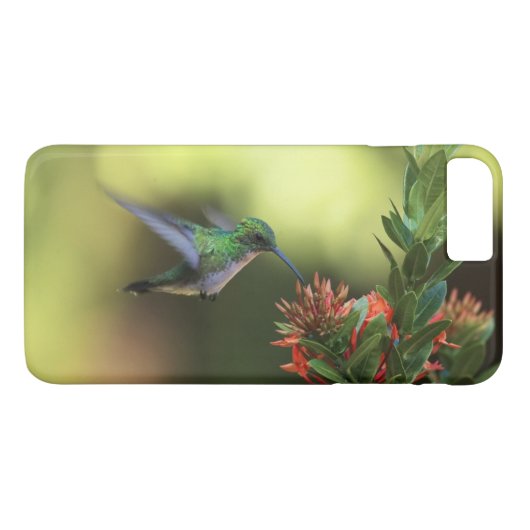 Hummingvogel Case-Mate iPhone Case (Achterkant (Horizontaal))