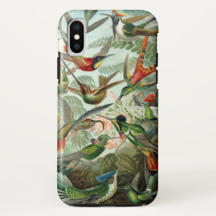 Hummingvogel Case-Mate iPhone Case