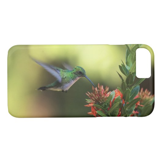 Hummingvogel Case-Mate iPhone Case (Achterkant (Horizontaal))
