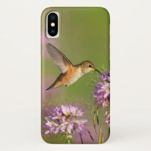 Hummingvogel iPhone X Hoesje