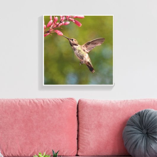 Hummingvogel en bloem canvas afdruk (Insitu (Woonkamer))