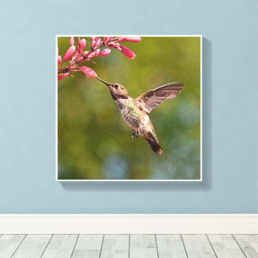 Hummingvogel en bloem canvas afdruk (Insitu (Houten vloer))
