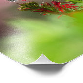 Hummingvogel en kardinaalventilator foto afdruk (Hoek)