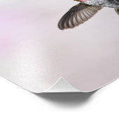 Hummingvogel Foto Afdruk (Hoek)
